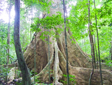 THAM QUAN BẮC ĐẢO