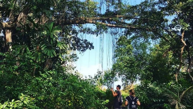 THAM QUAN BẮC ĐẢO