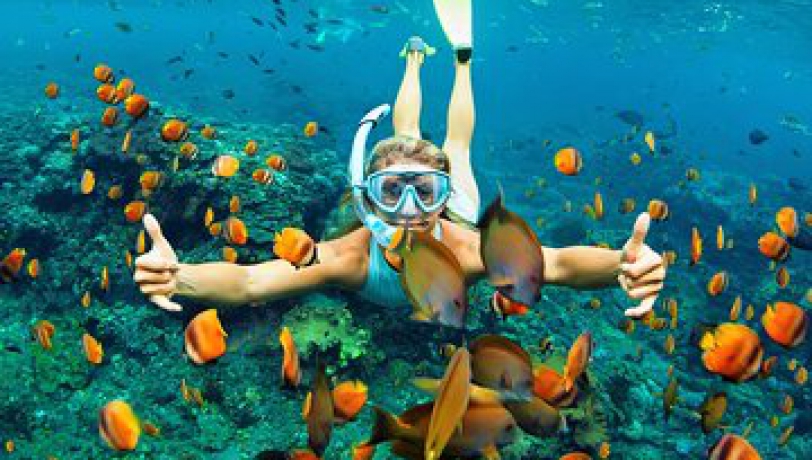 TOUR LẶN NGẮM SAN HÔ