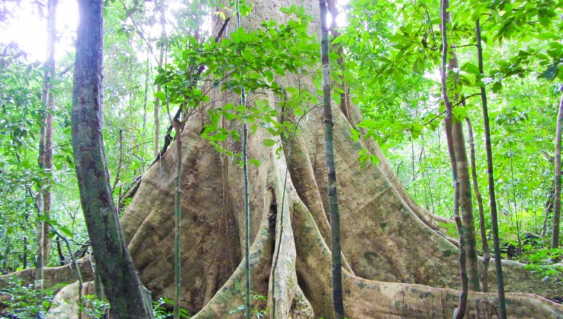 THAM QUAN BẮC ĐẢO