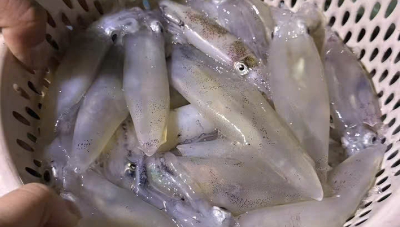 TOUR CÂU MỰC NGẮM HOÀNG HÔN