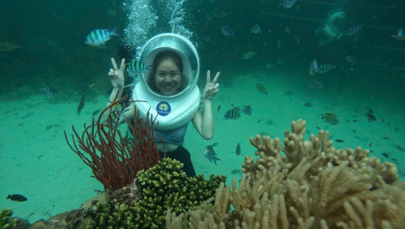 TOUR CÁP TREO & ĐI BỘ DƯỚI ĐÁY BIỂN