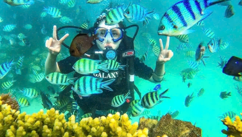 TOUR CÁP TREO & ĐI BỘ DƯỚI ĐÁY BIỂN